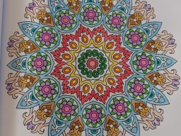 whatsapp bild 2024-07-11 um 12.37.20_7f7e3b81